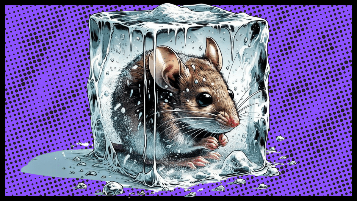 frozen-feeder-mice-mistermiceguy